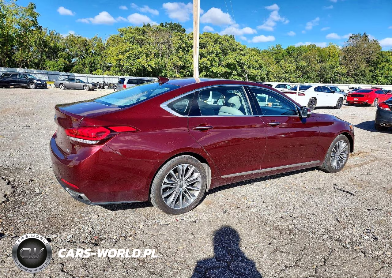 2016 Hyundai Genesis 3.8L VIN:KMHGN4JE1GU115142 - 3