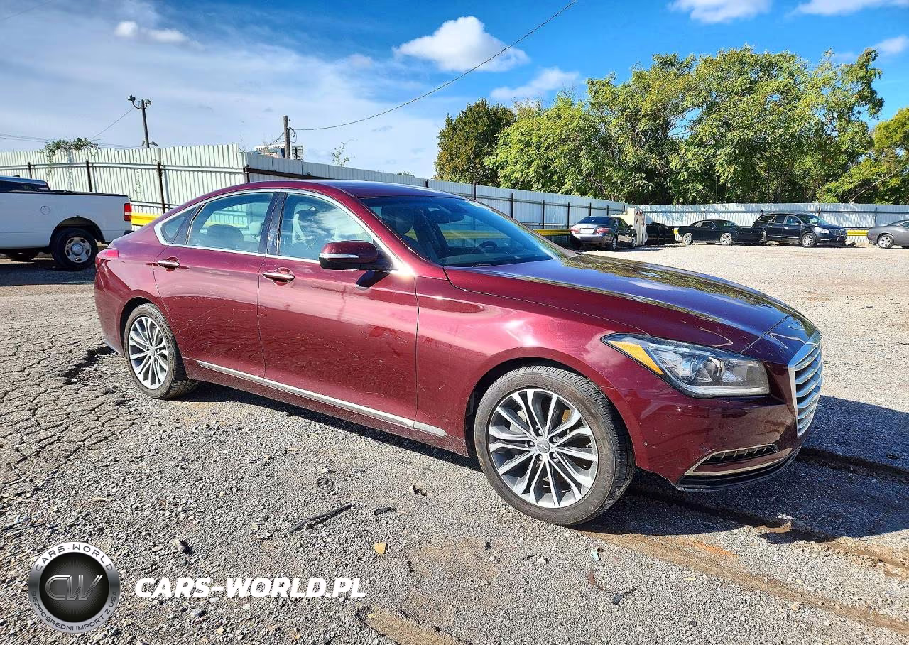 2016 Hyundai Genesis 3.8L VIN:KMHGN4JE1GU115142 - 4
