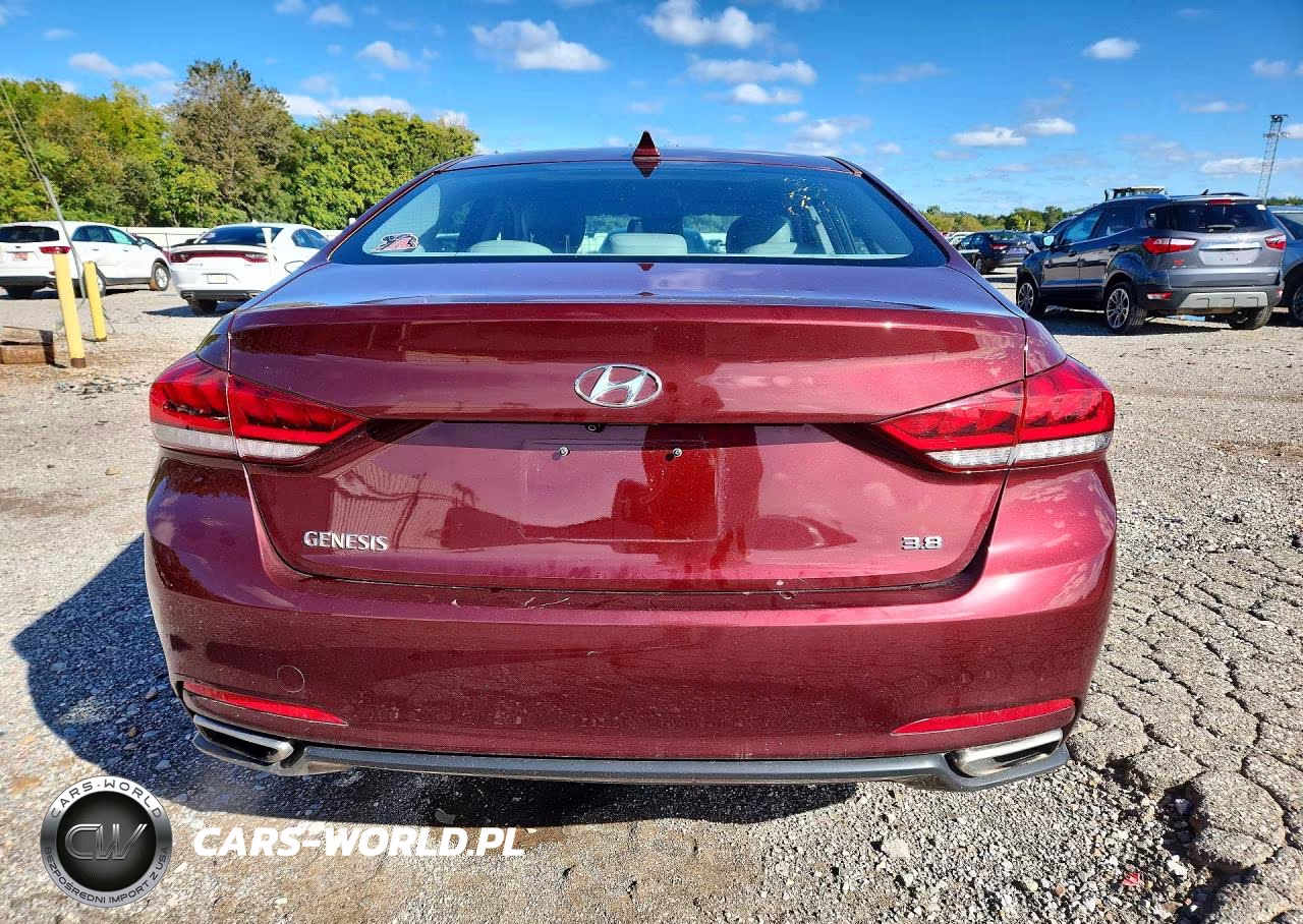 2016 Hyundai Genesis 3.8L VIN:KMHGN4JE1GU115142 - 6