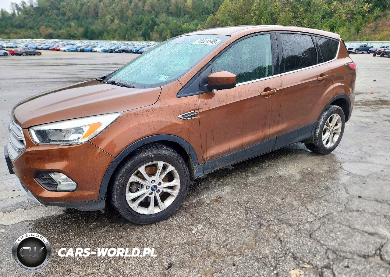 2017 Ford Escape Se VIN:1FMCU9G97HUB08660 - 1