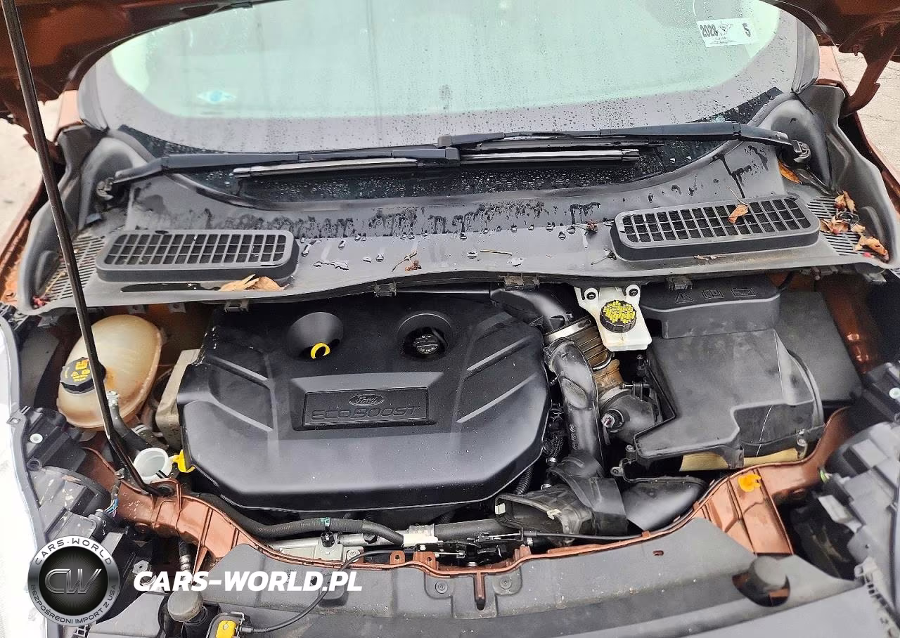 2017 Ford Escape Se VIN:1FMCU9G97HUB08660 - 12