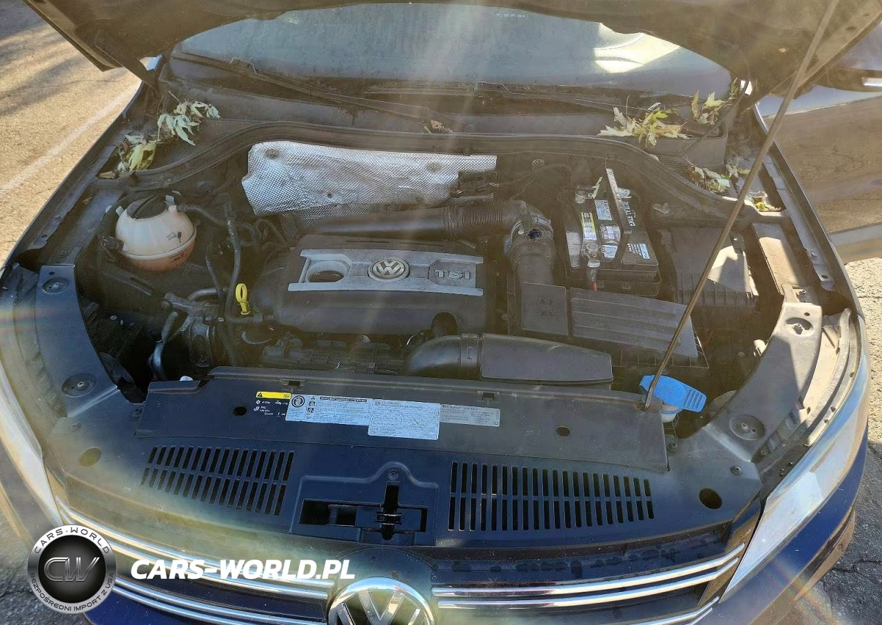 2015 Volkswagen Tiguan S VIN:WVGAV7AX1FW611828 - 12