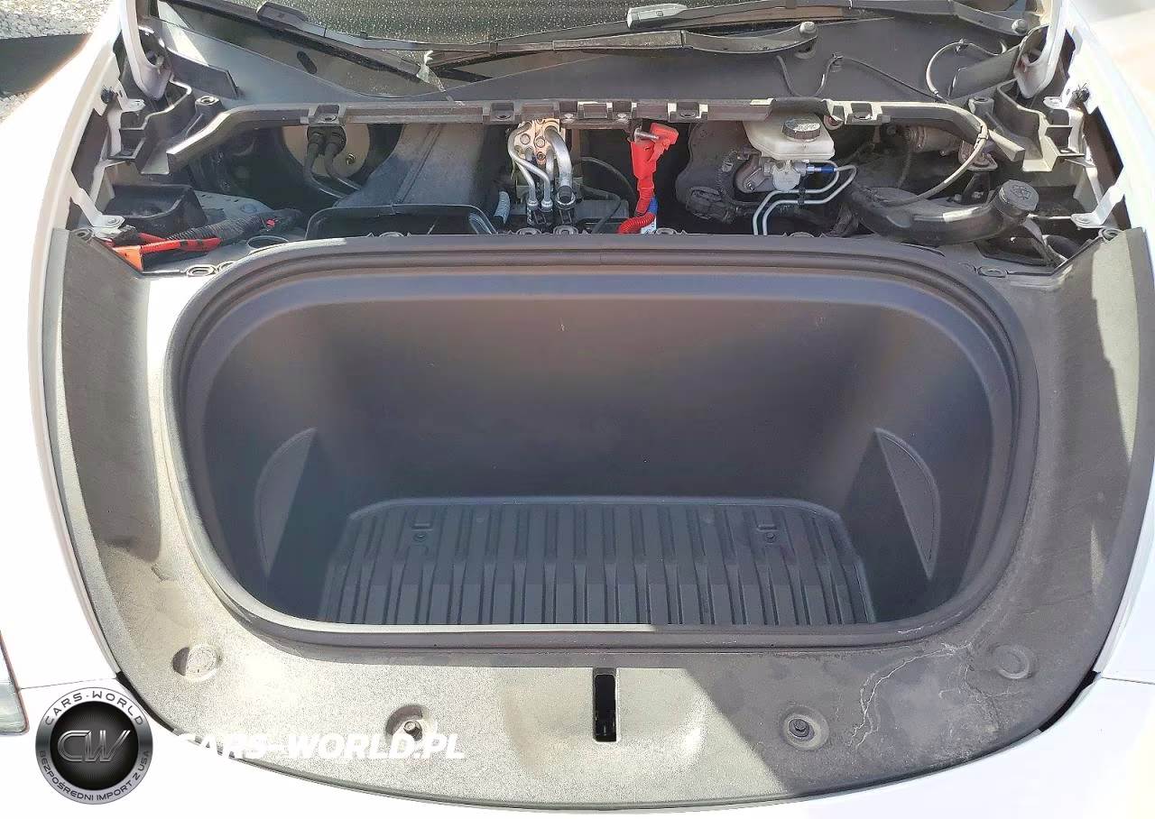 2023 Tesla Model Y VIN:7SAYGDEE7PF696395 - 11