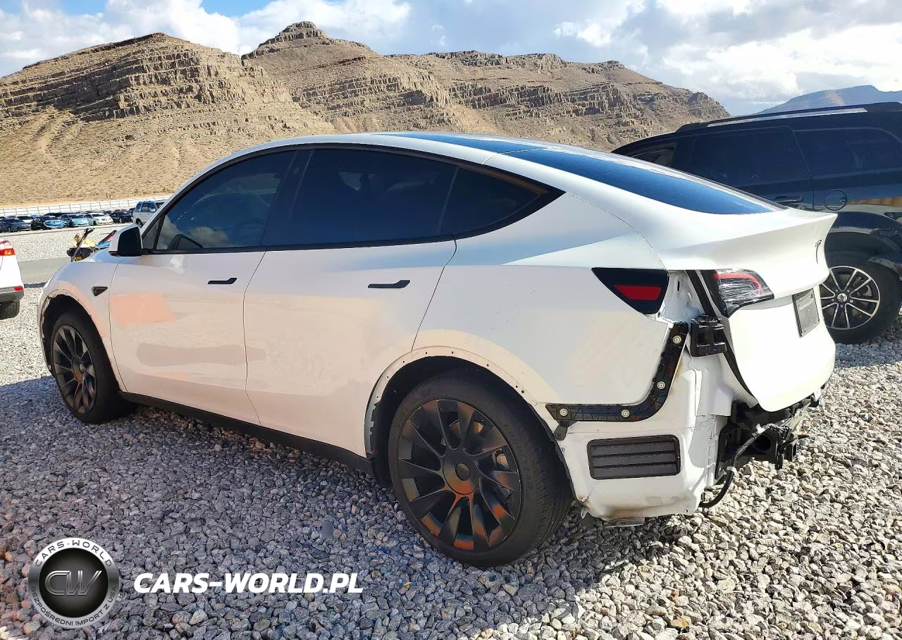 2023 Tesla Model Y VIN:7SAYGDEE7PF696395 - 2
