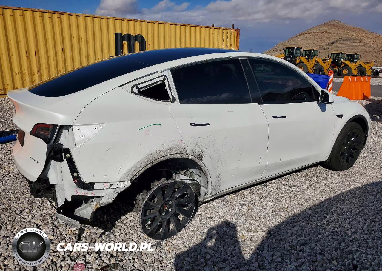 2023 Tesla Model Y VIN:7SAYGDEE7PF696395 - 3