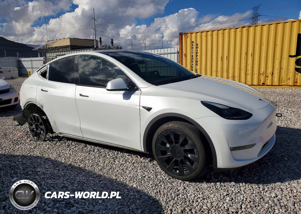 2023 Tesla Model Y VIN:7SAYGDEE7PF696395 - 4