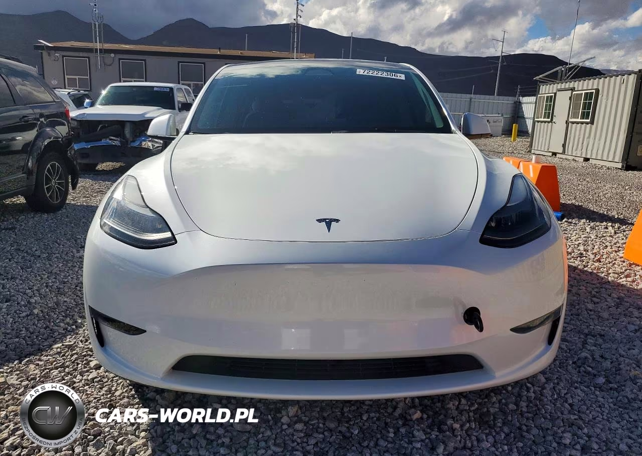 2023 Tesla Model Y VIN:7SAYGDEE7PF696395 - 5