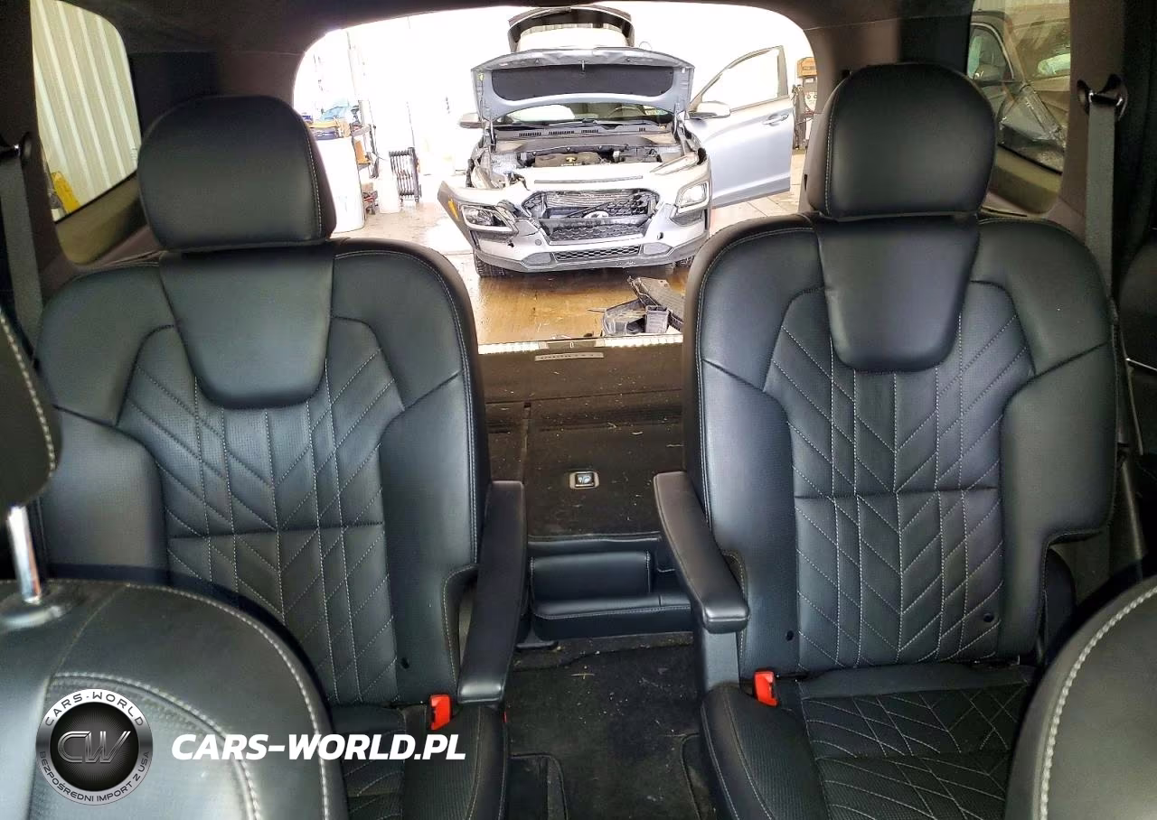 2024 Kia Telluride Sx-Prestige X-Line VIN:5XYP5DGC7RG453952 - 10