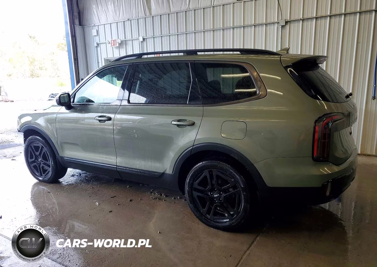 2024 Kia Telluride Sx-Prestige X-Line VIN:5XYP5DGC7RG453952 - 2