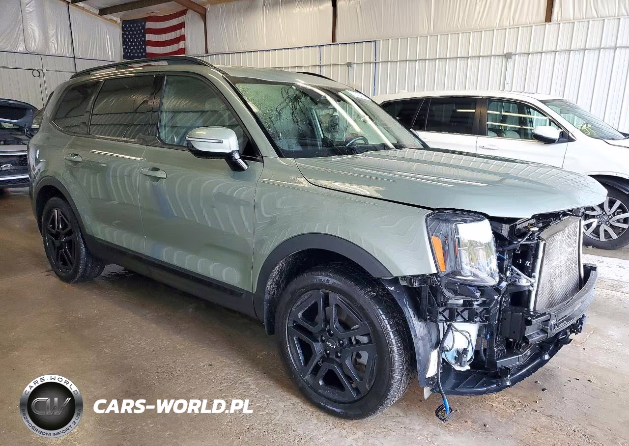 2024 Kia Telluride Sx-Prestige X-Line VIN:5XYP5DGC7RG453952 - 4