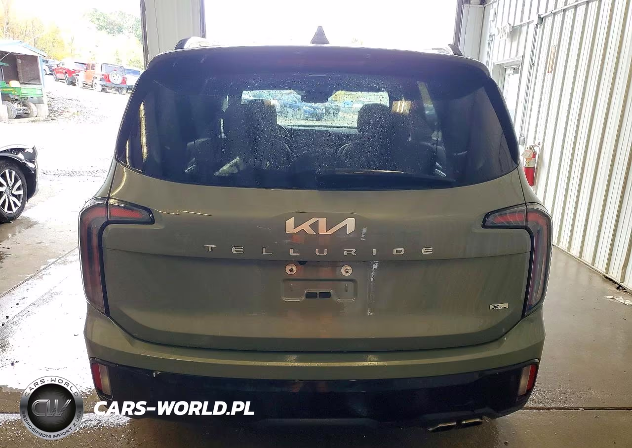 2024 Kia Telluride Sx-Prestige X-Line VIN:5XYP5DGC7RG453952 - 6