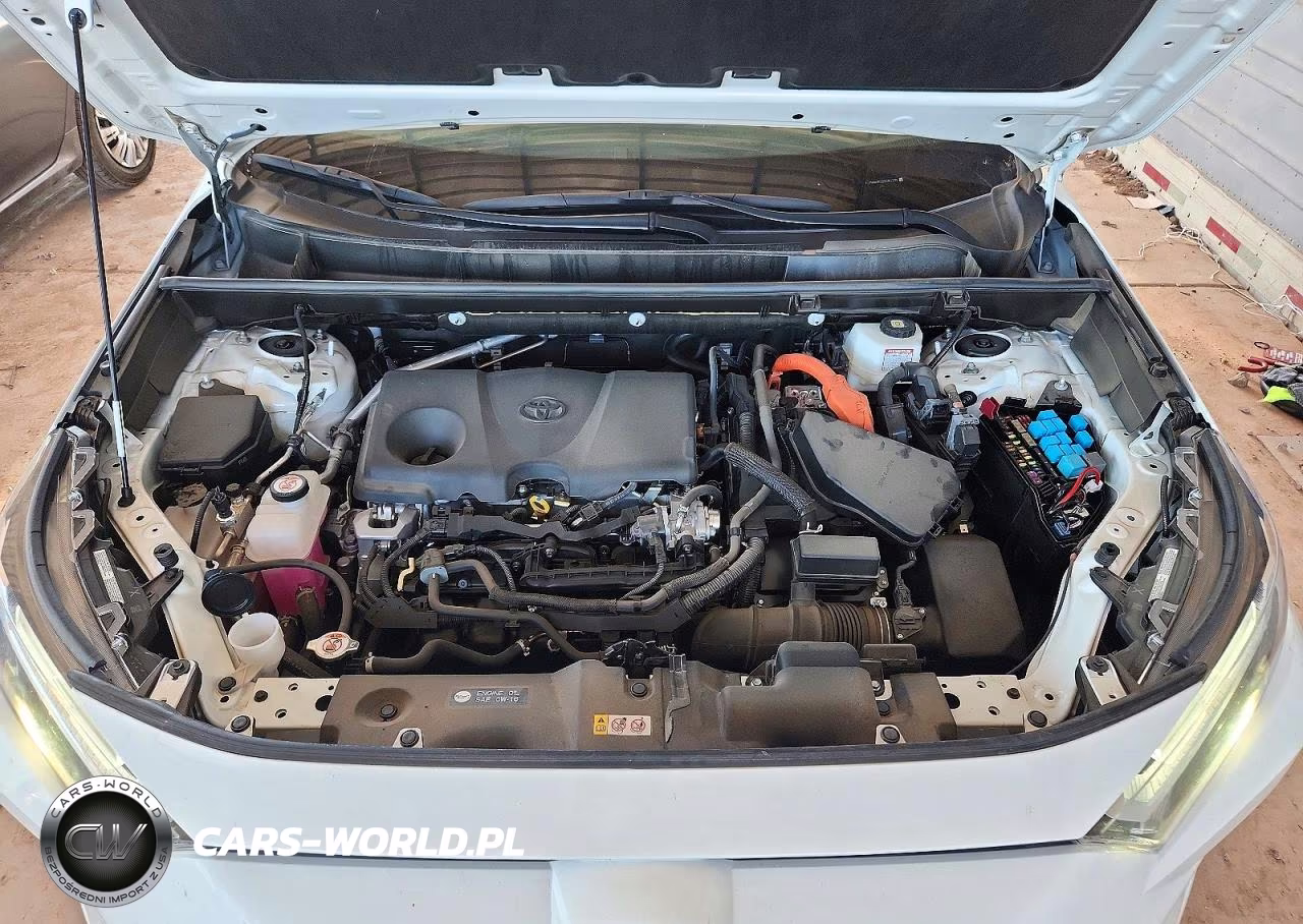 2025 Toyota Rav4 Hybrid Xle VIN:JTMRWRFV3SD351235 - 12