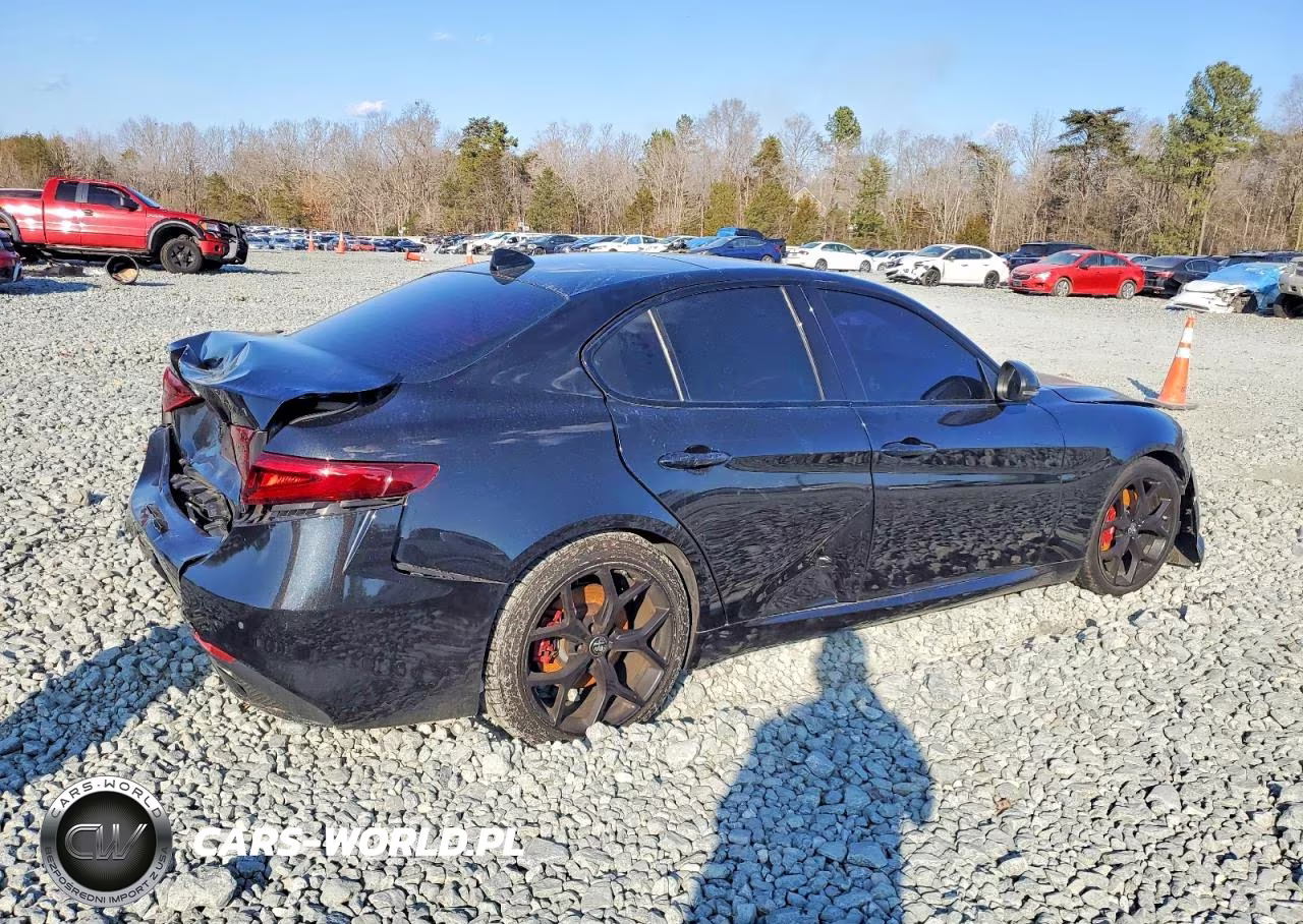 2019 Alfa Romeo Giulia Ti VIN:ZARFAMBN6K7622755 - 3
