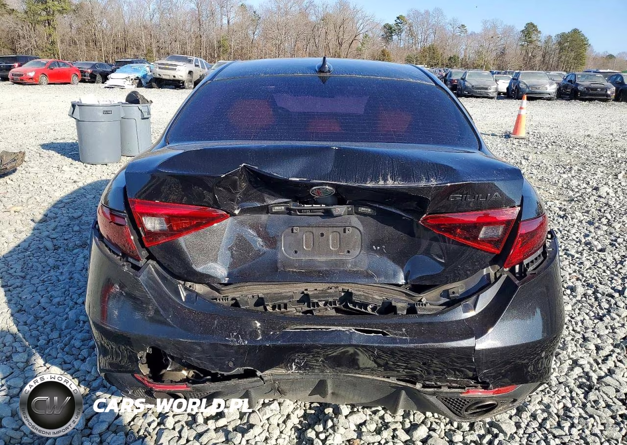 2019 Alfa Romeo Giulia Ti VIN:ZARFAMBN6K7622755 - 6