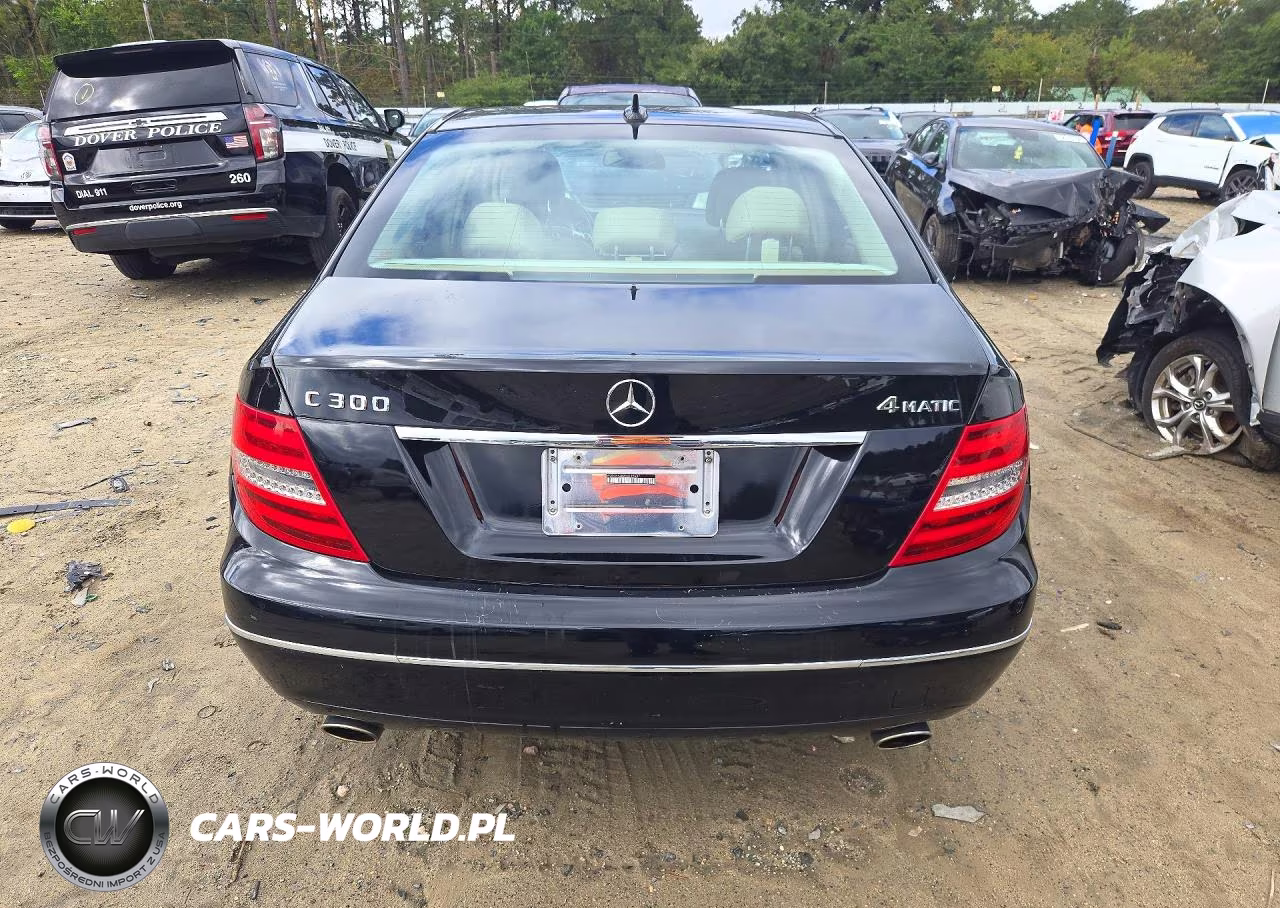 2014 Mercedes-Benz C 300 4Matic VIN:WDDGF8AB2EG175687 - 6