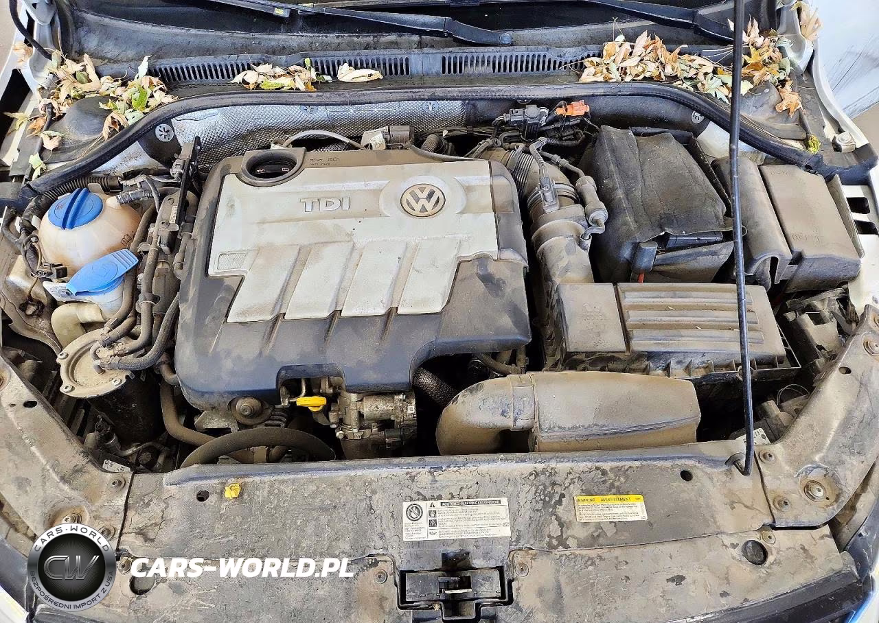 2014 Volkswagen Jetta Tdi VIN:3VWLL7AJ6EM381679 - 11