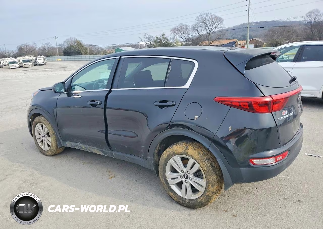 2019 Kia Sportage Lx VIN:KNDPM3AC8K7565216 - 2