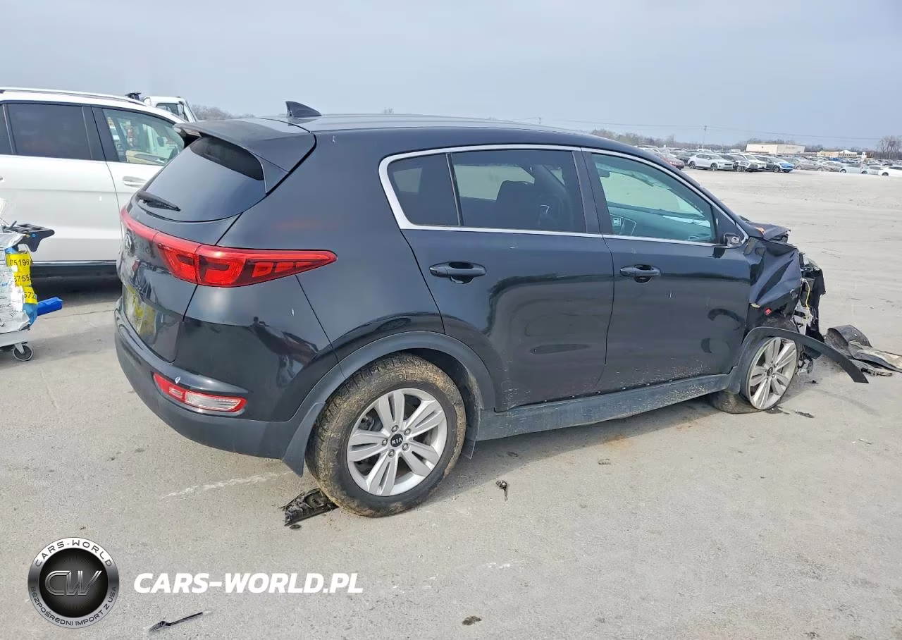 2019 Kia Sportage Lx VIN:KNDPM3AC8K7565216 - 3