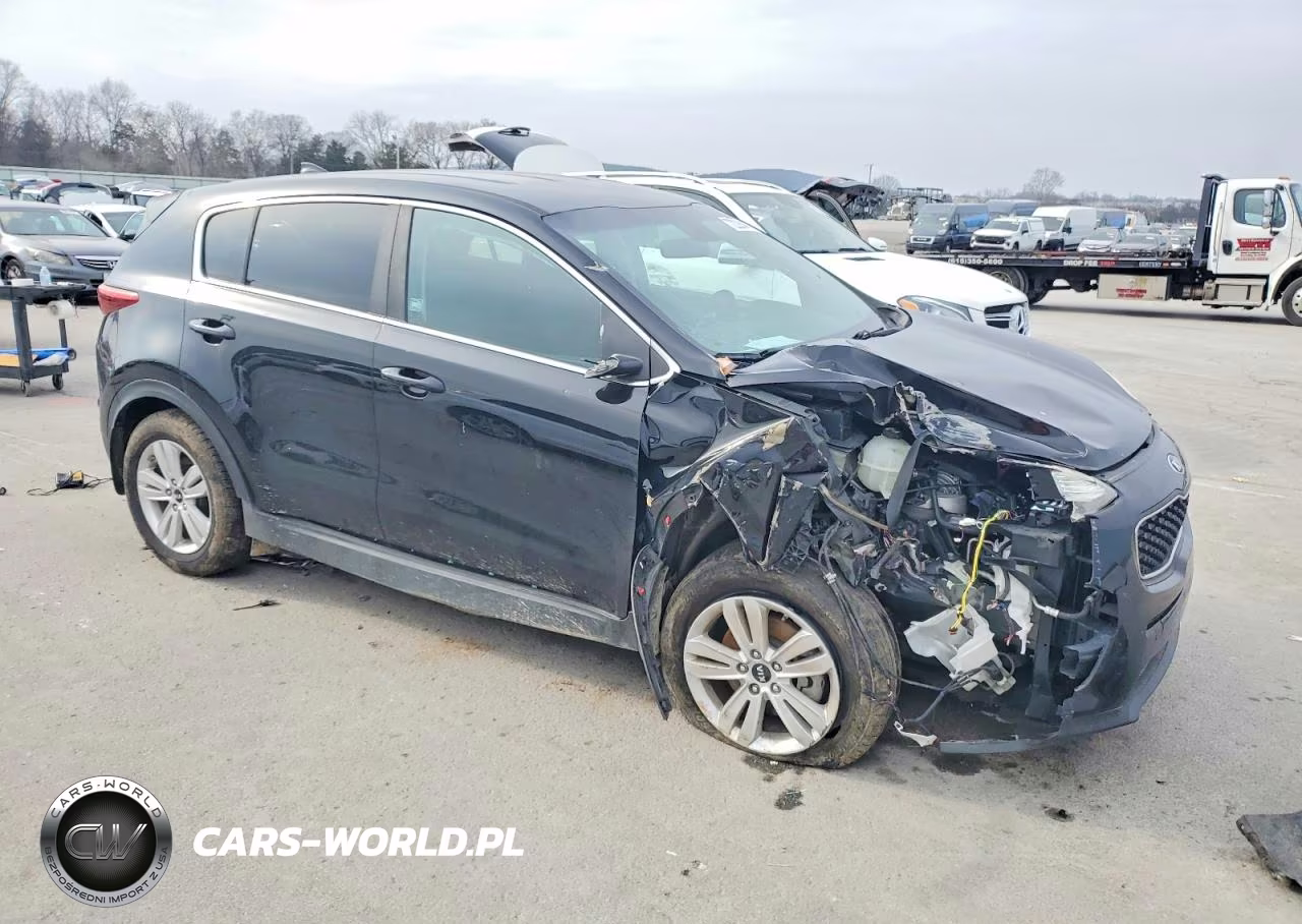 2019 Kia Sportage Lx VIN:KNDPM3AC8K7565216 - 4