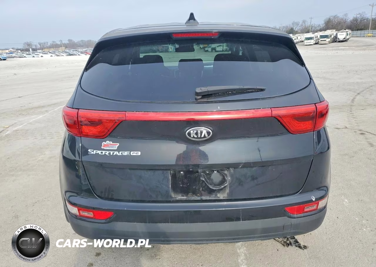 2019 Kia Sportage Lx VIN:KNDPM3AC8K7565216 - 6
