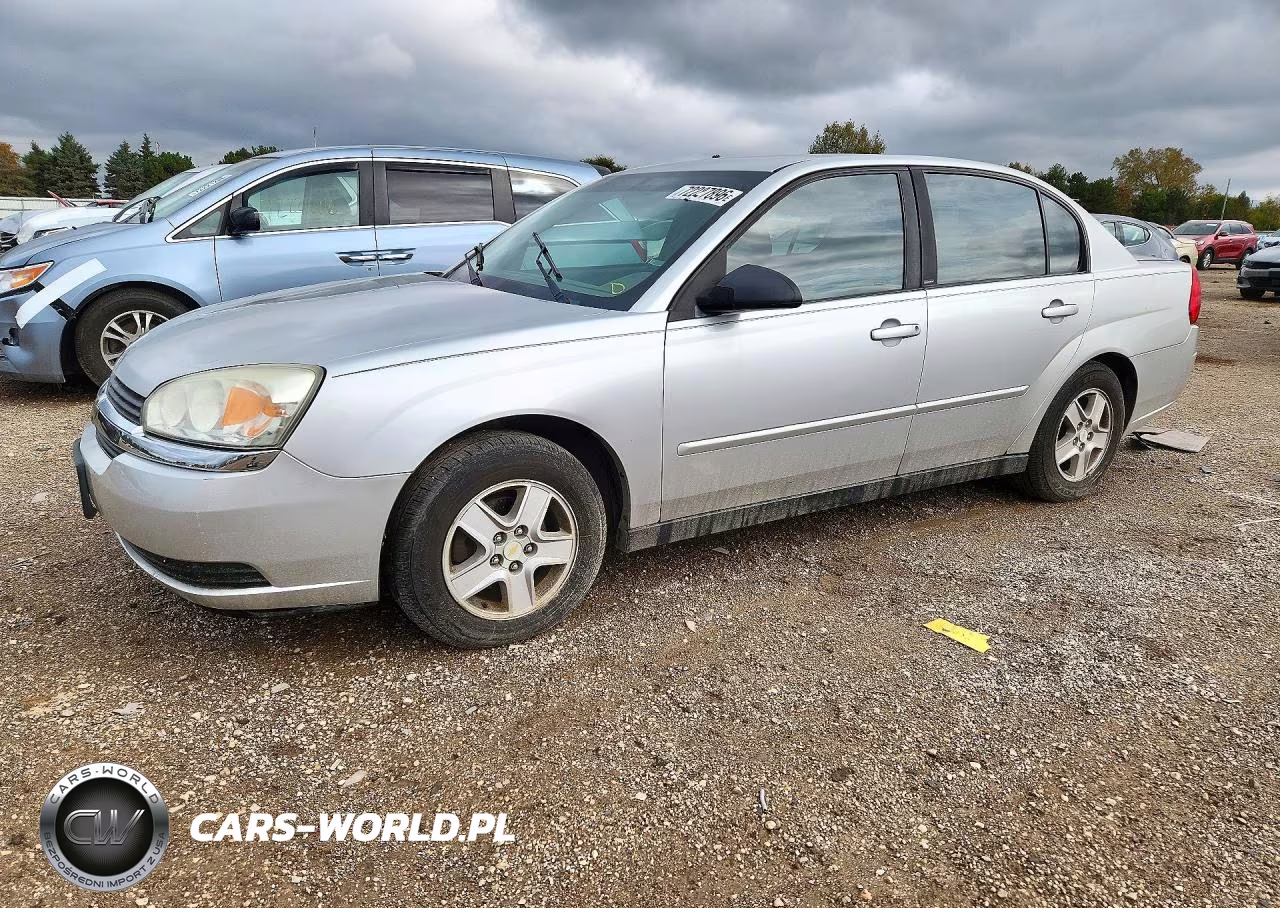 2005 Chevrolet Malibu Ls VIN:1G1ZT54875F128177 - 1