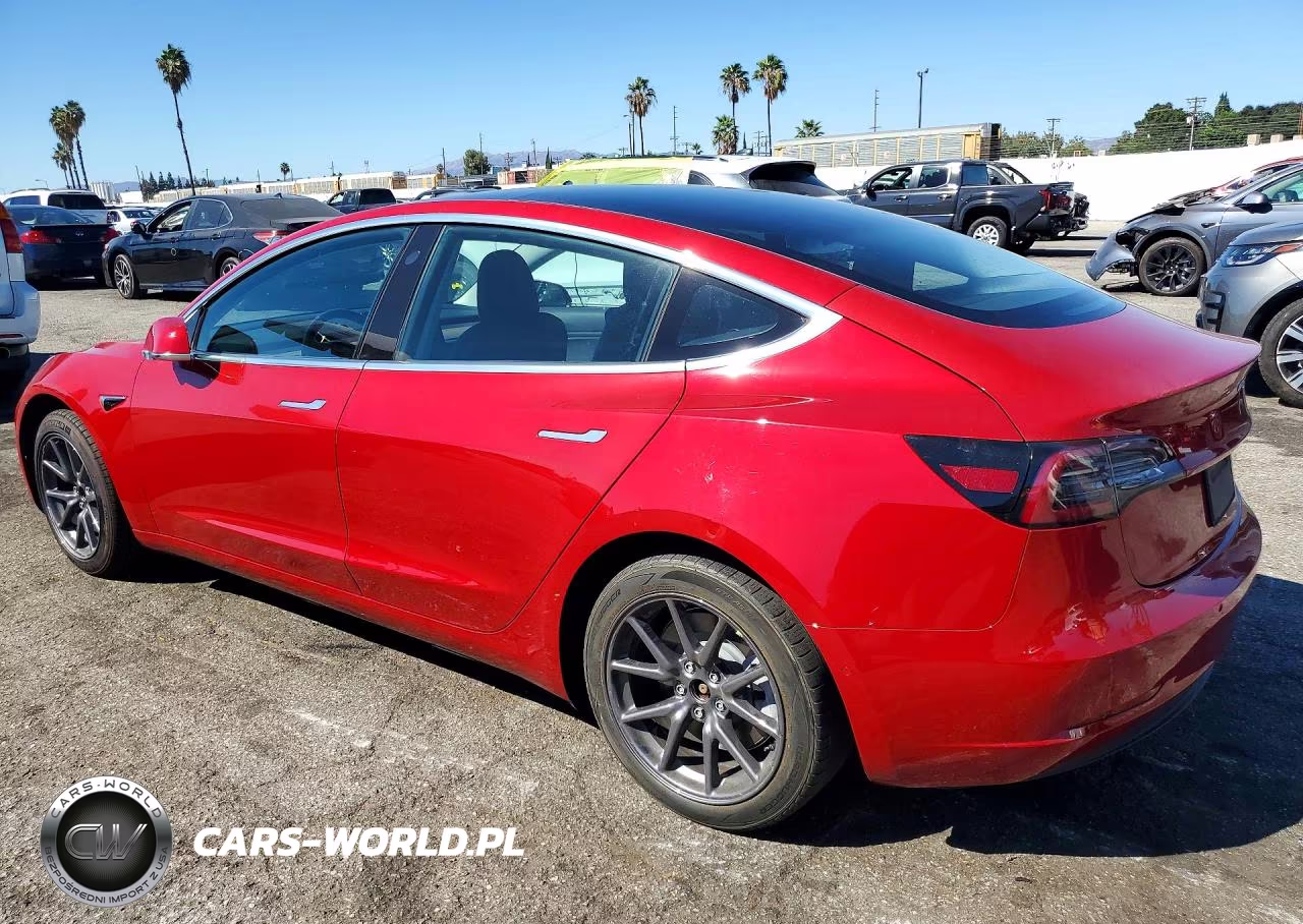 2019 Tesla Model 3 VIN:5YJ3E1EA6KF308638 - 2