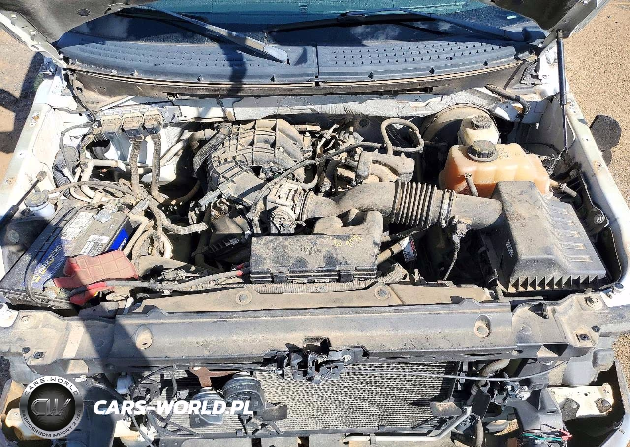 2013 Ford F150 VIN:1FTMF1CM9DKE89299 - 11
