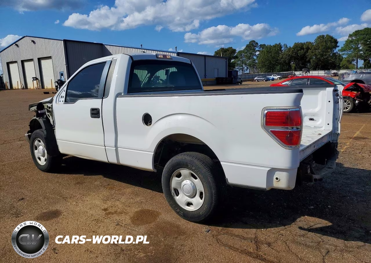 2013 Ford F150 VIN:1FTMF1CM9DKE89299 - 2