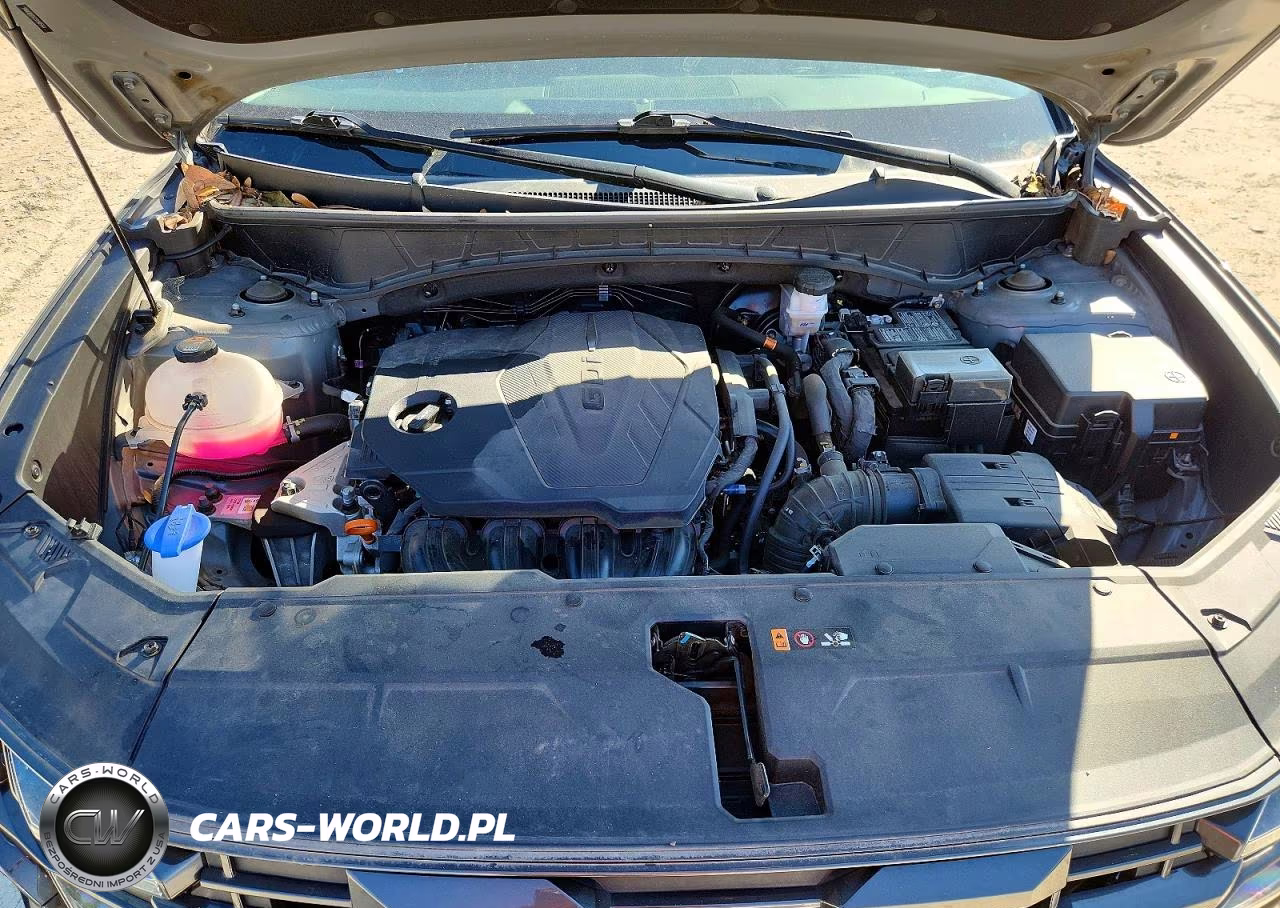 2025 Hyundai Tucson Sel VIN:5NMJB3DE3SH505541 - 12