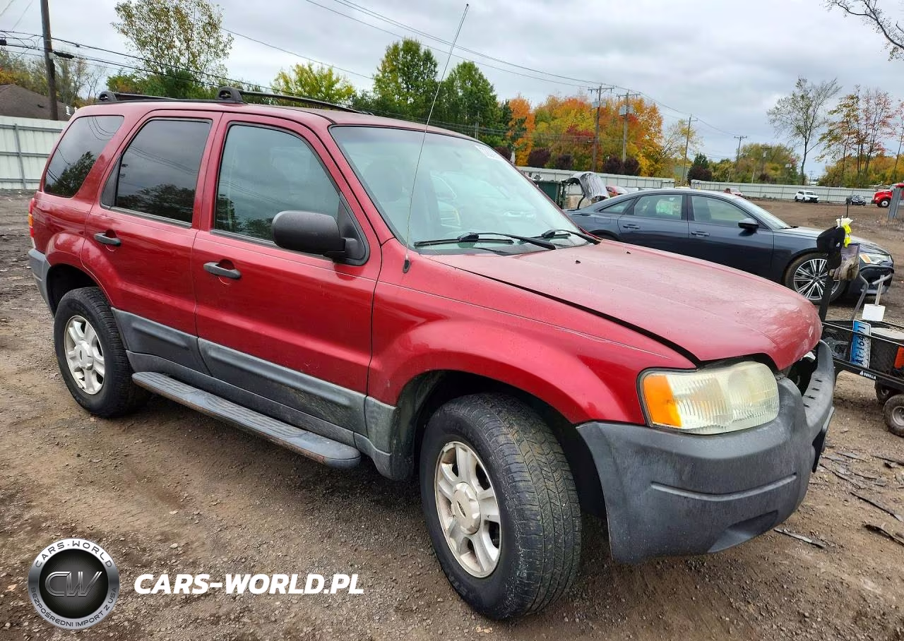 2004 Ford Escape Xlt VIN:1FMYU93164KA29203 - 4