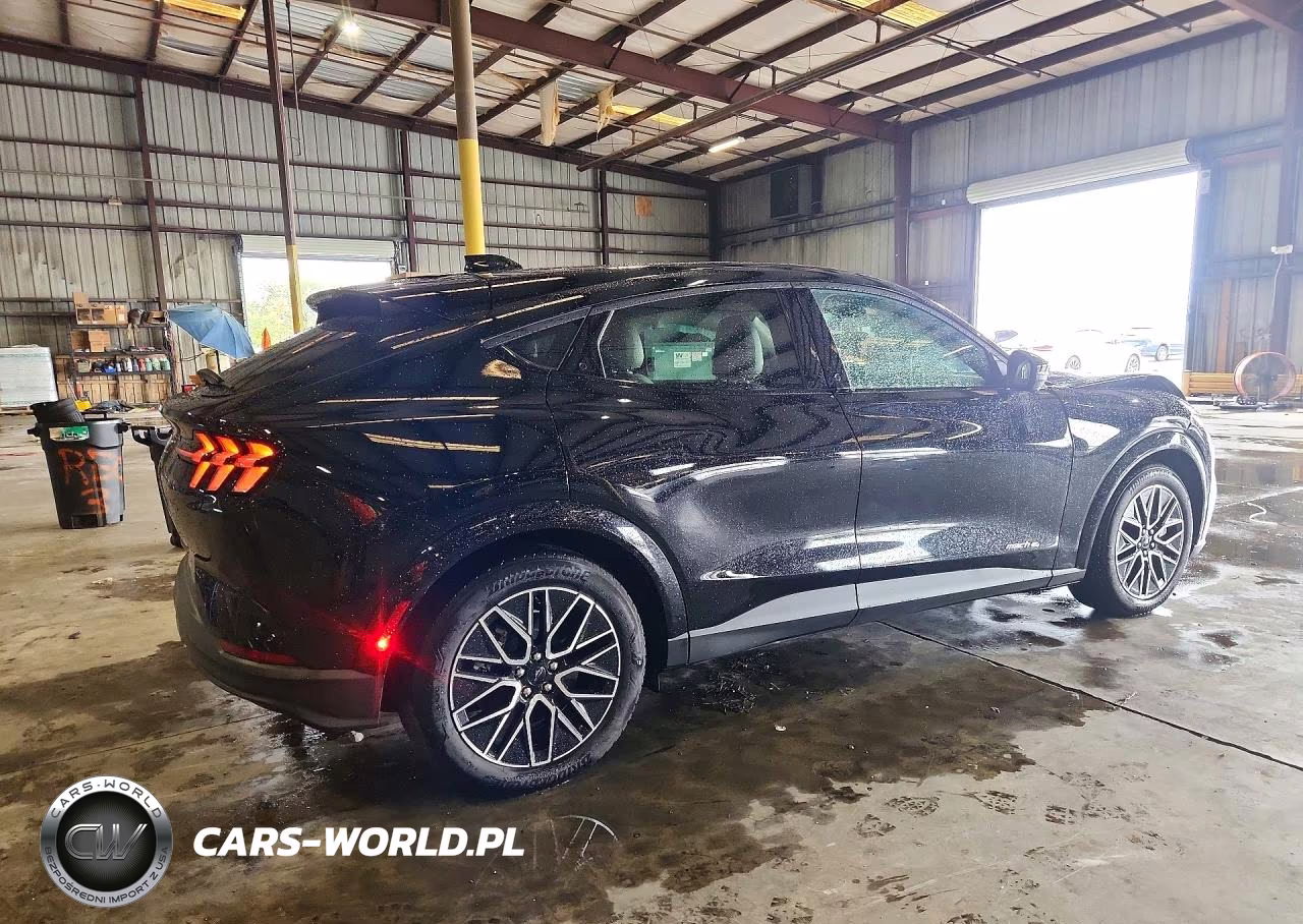 2025 Ford Mustang Mach-E Premium VIN:3FMTK3SU4SMA12687 - 3