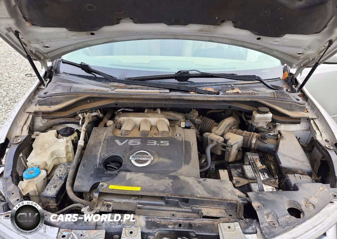 2004 Nissan Murano Sl VIN:JN8AZ08T54W203689 - 12