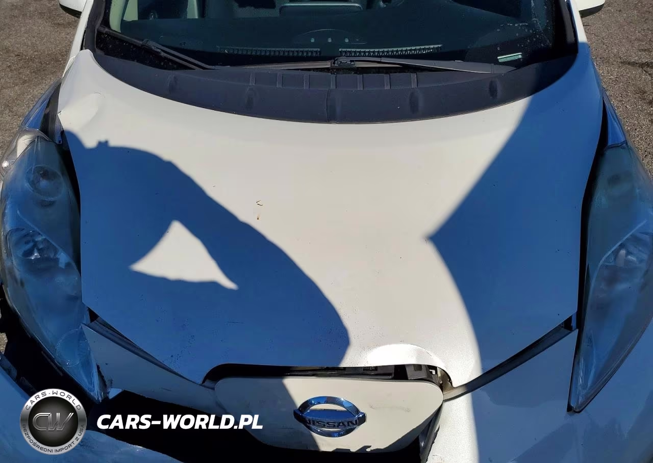 2015 Nissan Leaf S VIN:1N4AZ0CP2FC316676 - 11