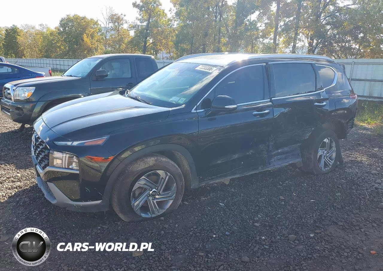 2023 Hyundai Santa Fe Sel VIN:5NMS2DAJXPH482407 - 1