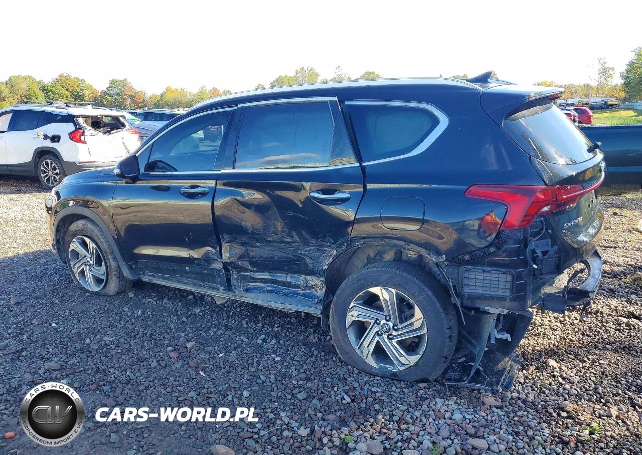 2023 Hyundai Santa Fe Sel VIN:5NMS2DAJXPH482407 - 2