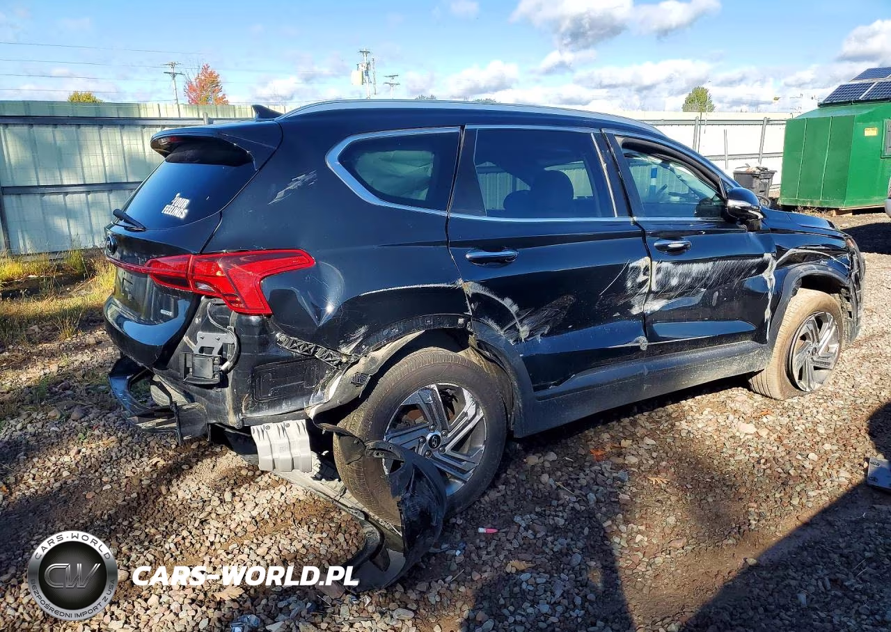 2023 Hyundai Santa Fe Sel VIN:5NMS2DAJXPH482407 - 3