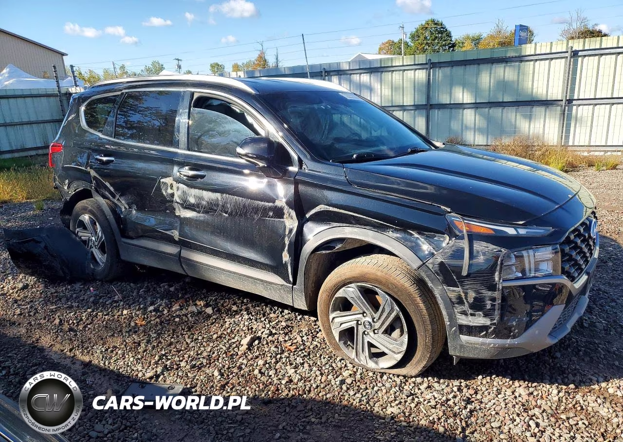 2023 Hyundai Santa Fe Sel VIN:5NMS2DAJXPH482407 - 4
