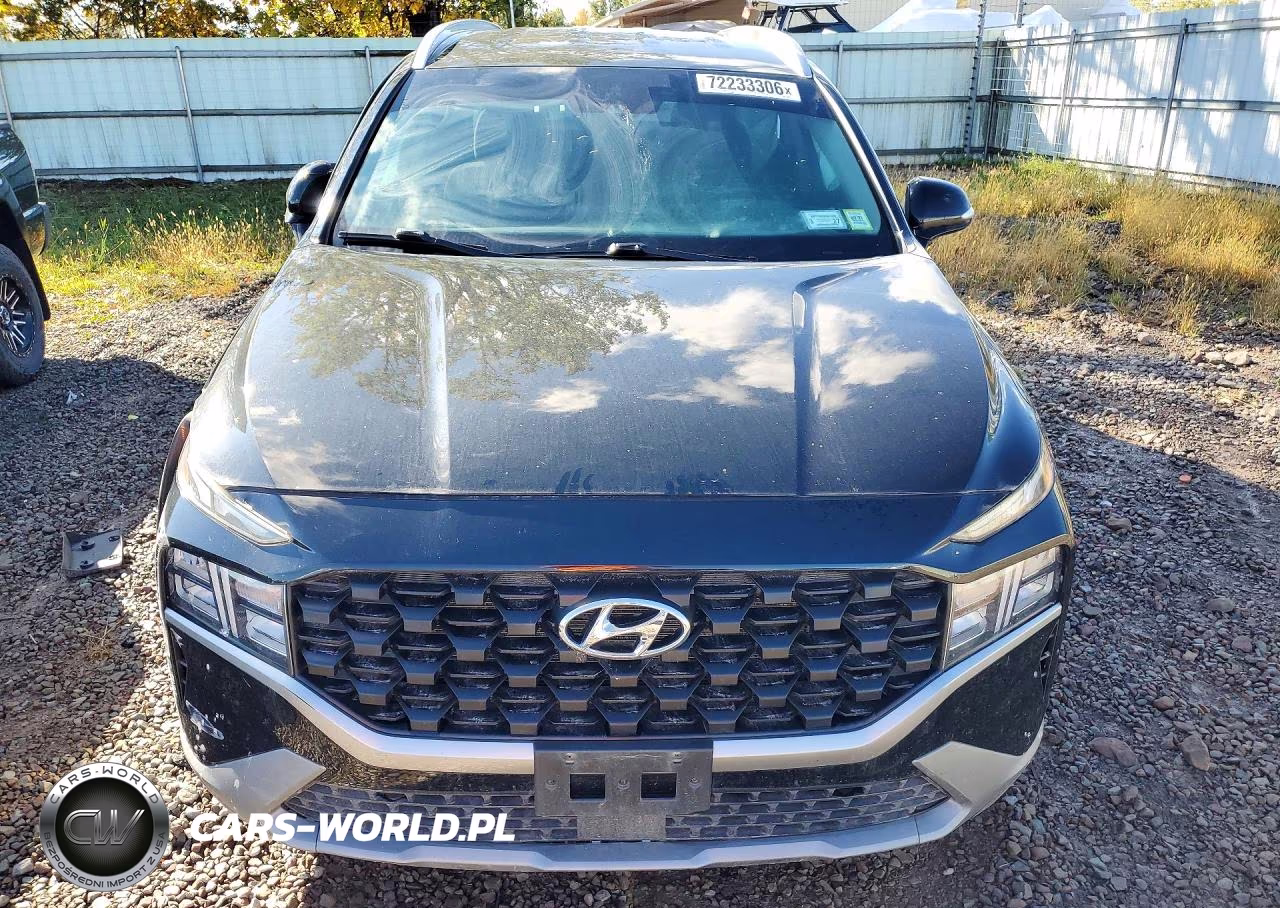 2023 Hyundai Santa Fe Sel VIN:5NMS2DAJXPH482407 - 5