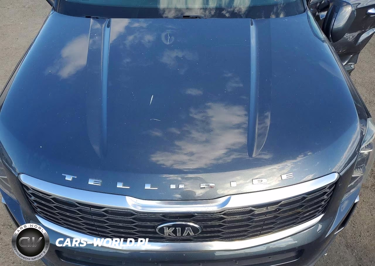 2020 Kia Telluride S VIN:5XYP6DHC9LG094087 - 12