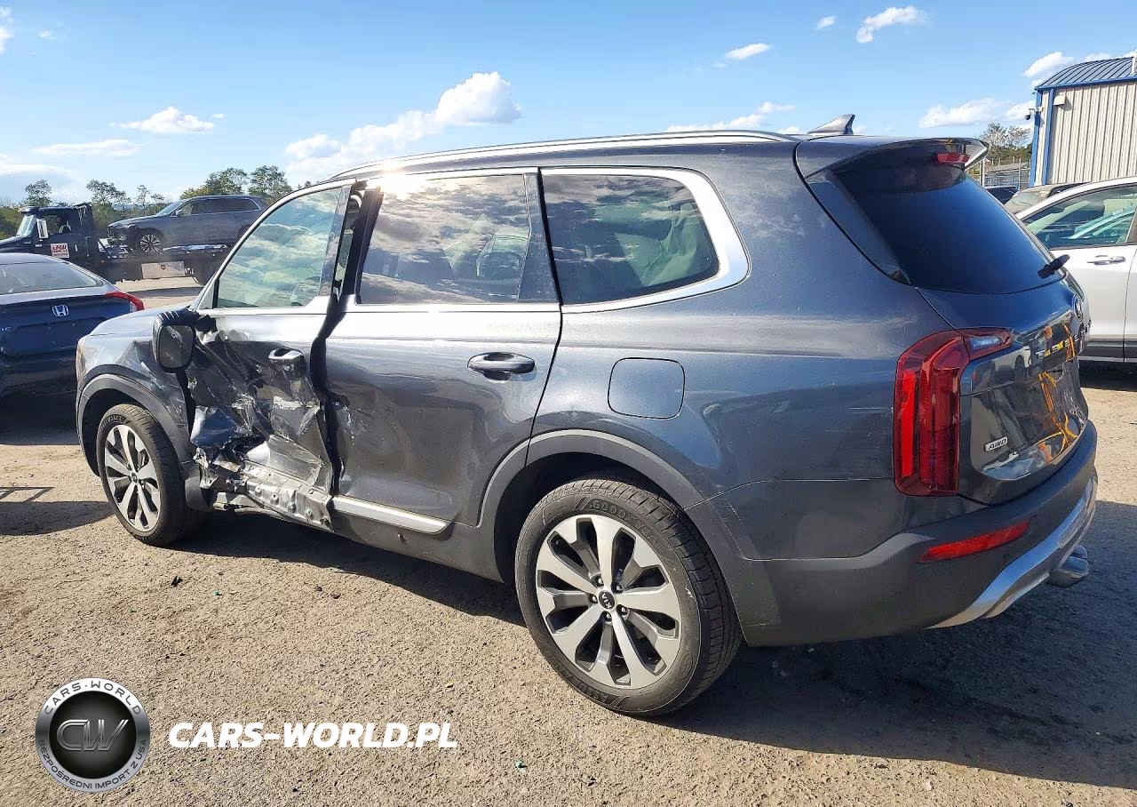 2020 Kia Telluride S VIN:5XYP6DHC9LG094087 - 2