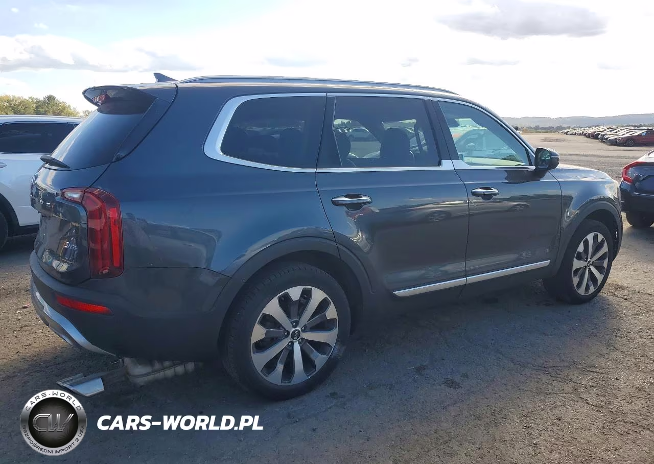 2020 Kia Telluride S VIN:5XYP6DHC9LG094087 - 3