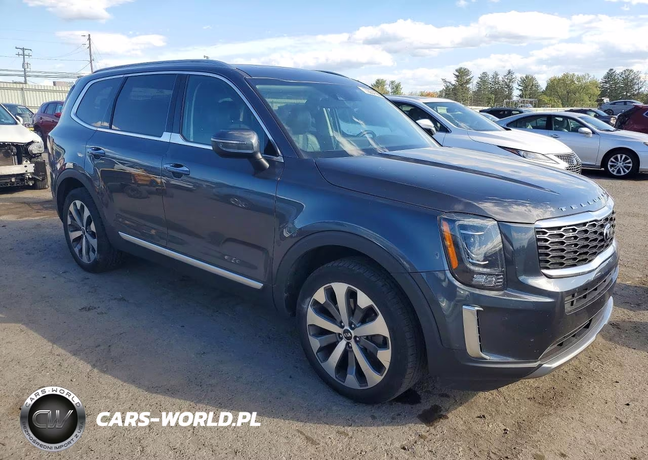 2020 Kia Telluride S VIN:5XYP6DHC9LG094087 - 4