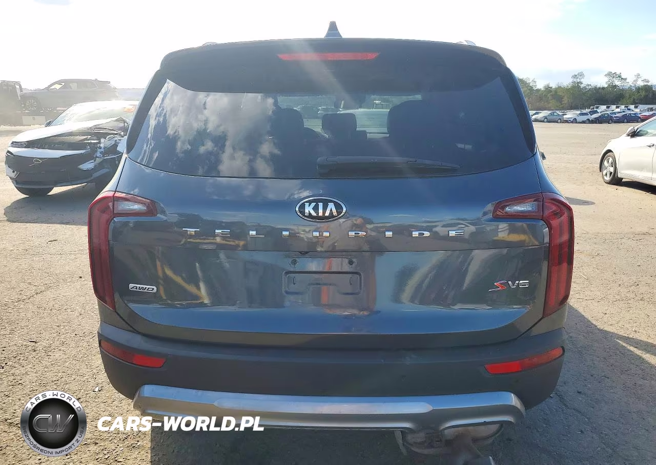 2020 Kia Telluride S VIN:5XYP6DHC9LG094087 - 6