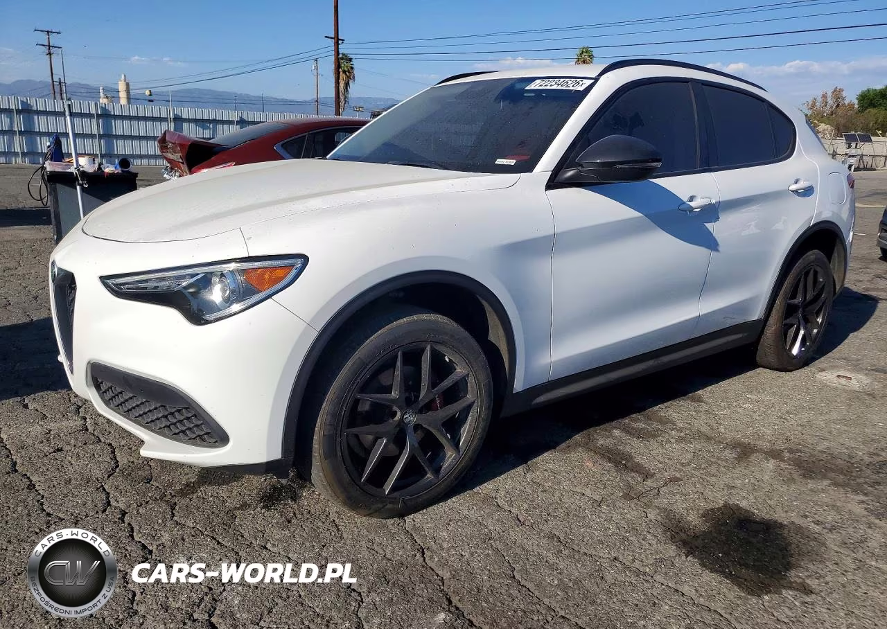 2020 Alfa Romeo Stelvio VIN:ZASPAJAN5L7C95689 - 1