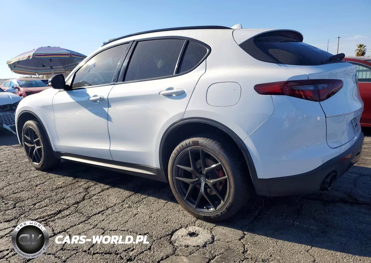 2020 Alfa Romeo Stelvio VIN:ZASPAJAN5L7C95689 - 2