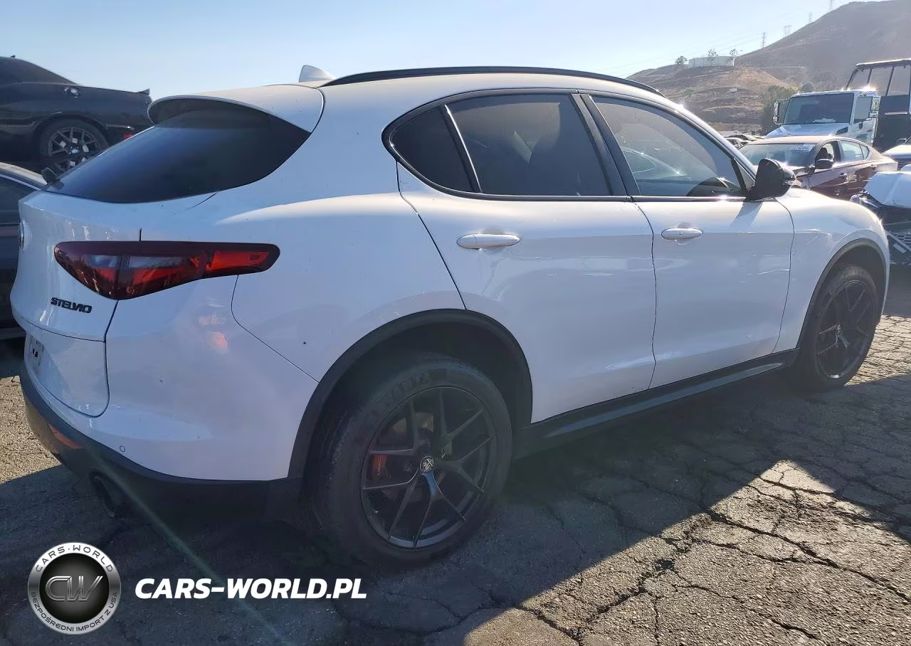 2020 Alfa Romeo Stelvio VIN:ZASPAJAN5L7C95689 - 3
