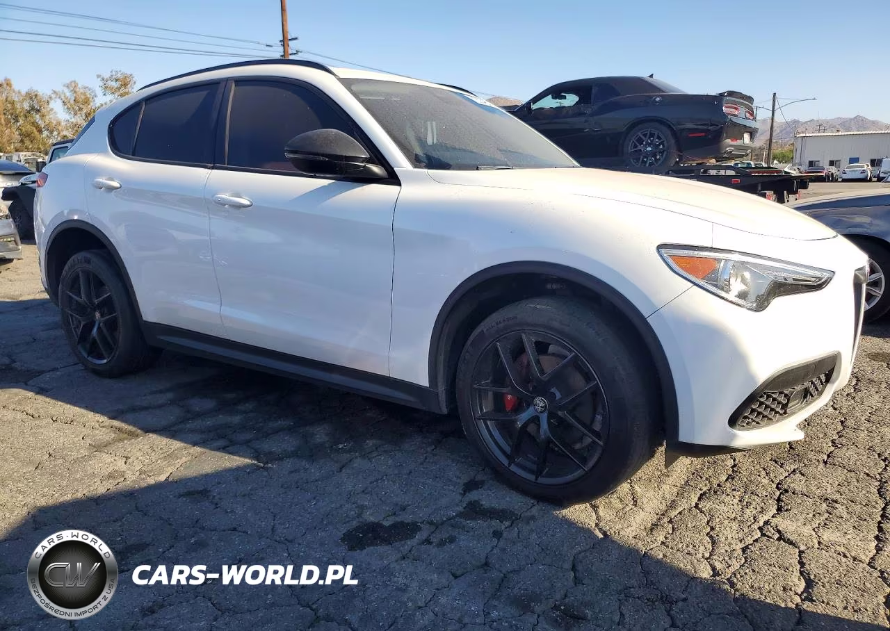 2020 Alfa Romeo Stelvio VIN:ZASPAJAN5L7C95689 - 4