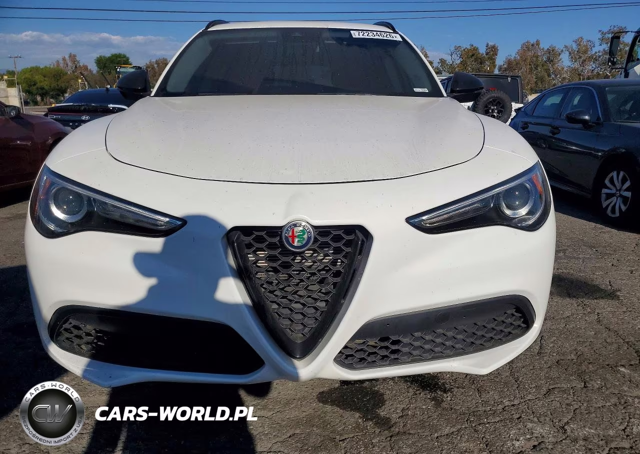 2020 Alfa Romeo Stelvio VIN:ZASPAJAN5L7C95689 - 5