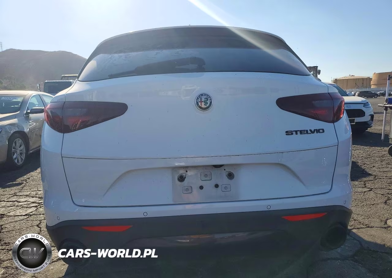 2020 Alfa Romeo Stelvio VIN:ZASPAJAN5L7C95689 - 6