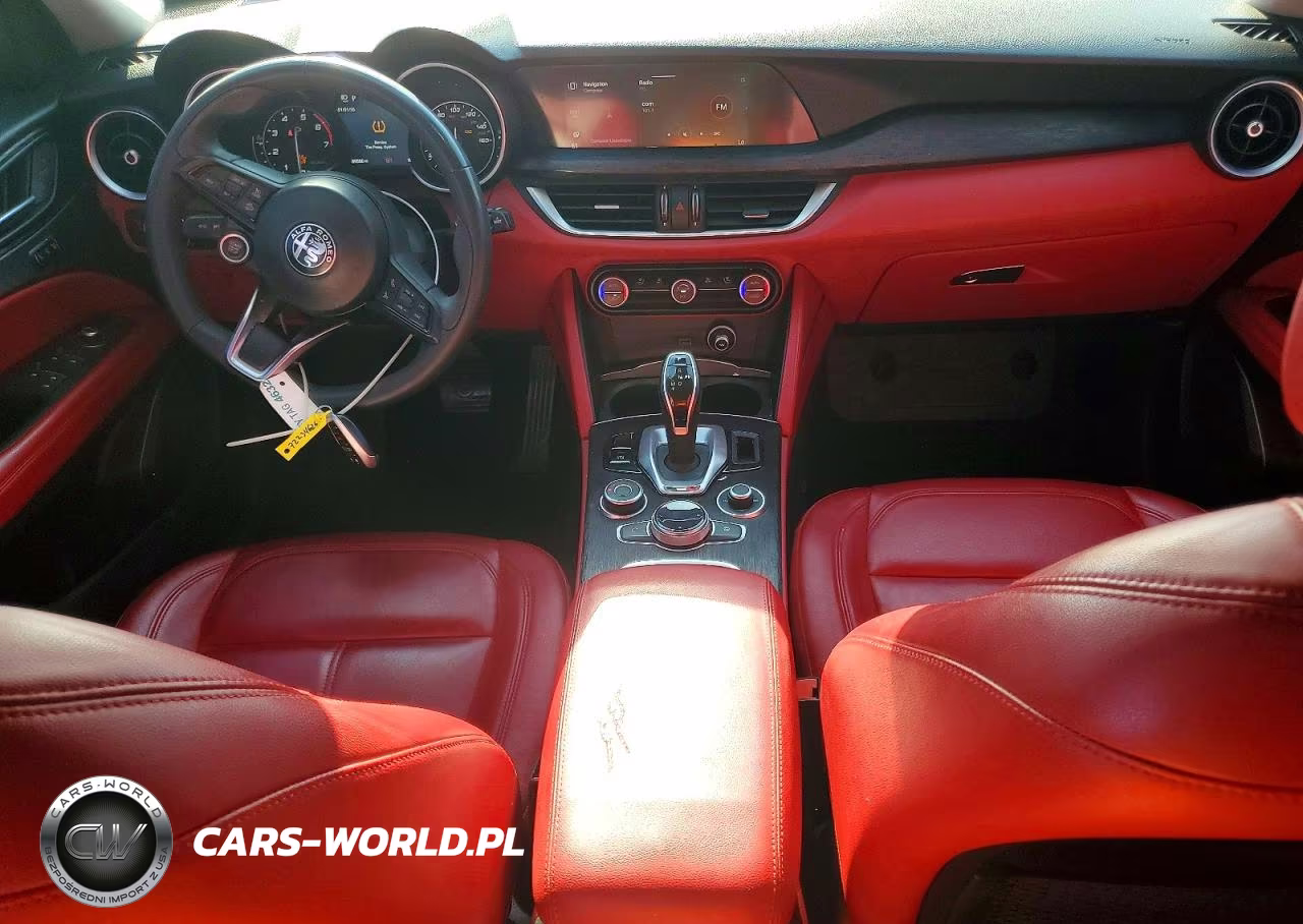 2020 Alfa Romeo Stelvio VIN:ZASPAJAN5L7C95689 - 8
